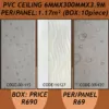 PVC Ceiling 3.9m*300mm*6mm