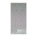 Ceiling Panel