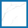 Carrara White Floor Tiles - Glossy Polished - Porcelain - 600x600mm | A-Grade | MSP66045M