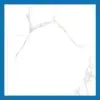 Carrara White Floor Tiles - Glossy Polished  Porcelain - 600X600mm - | A-Grade | Msp66048m