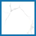 Carrara White Floor Tiles - Glossy Polished  Porcelain - 600X600mm - | A-Grade | Msp66048m