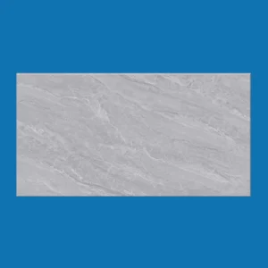 Wall Tile Glossy Polished Ceramic Grey 300x600mm