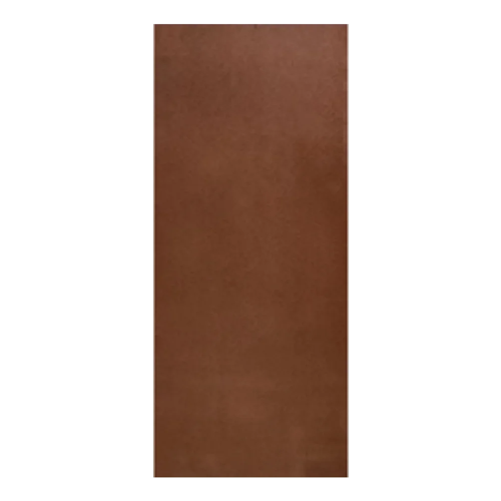 Masonite Single Full Door