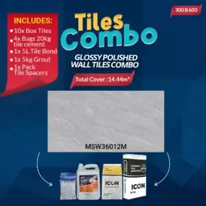 Wall Tiles Combo-Glossy Polished-Ceramic-300x600mm | A-Grade