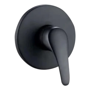 Black Shower Mixer