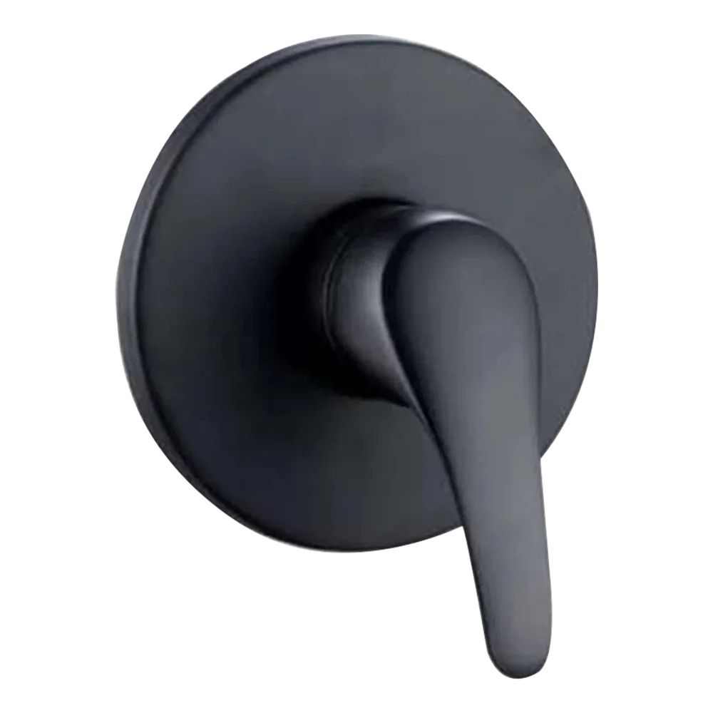 Black Shower Mixer