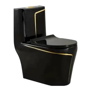 Elegance Modern Toilet