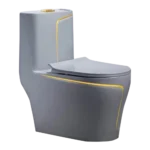 Grey Gold Line One-Piece Toilet