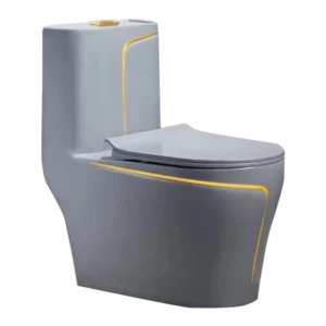 Grey Gold Line One-Piece Toilet