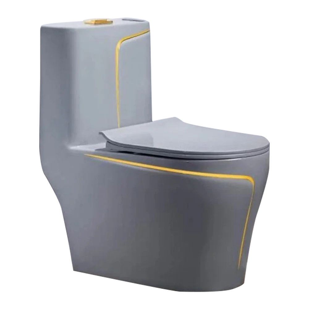 Grey Gold Line One-Piece Toilet