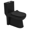 Matt Black Modern One-Piece Toilet