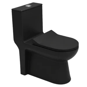 Matt Black Modern One-Piece Toilet