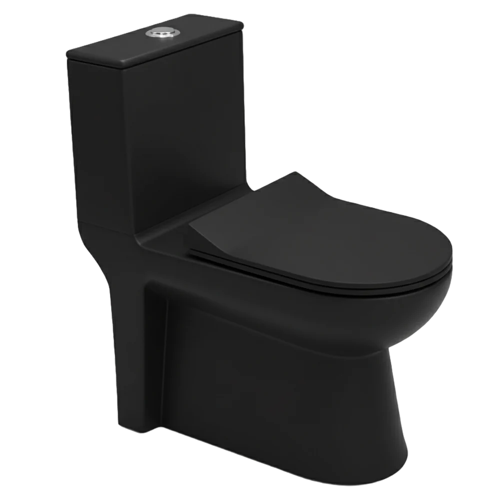 Matt Black Modern One-Piece Toilet