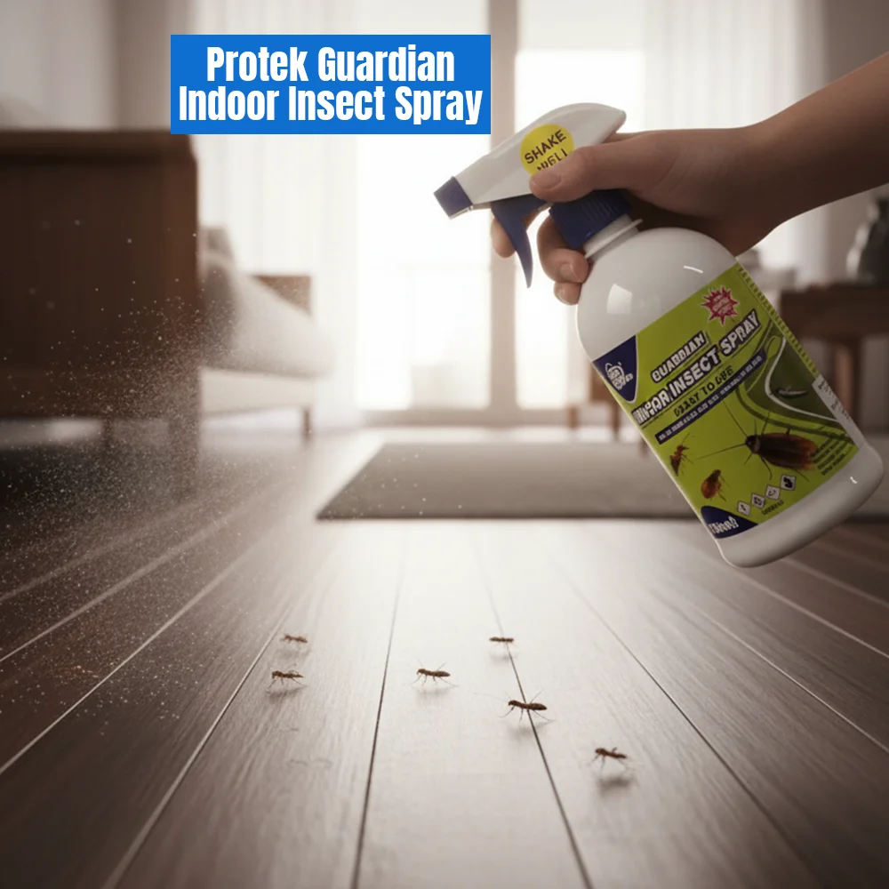 Theme Image 01 Indoor Insect Spray