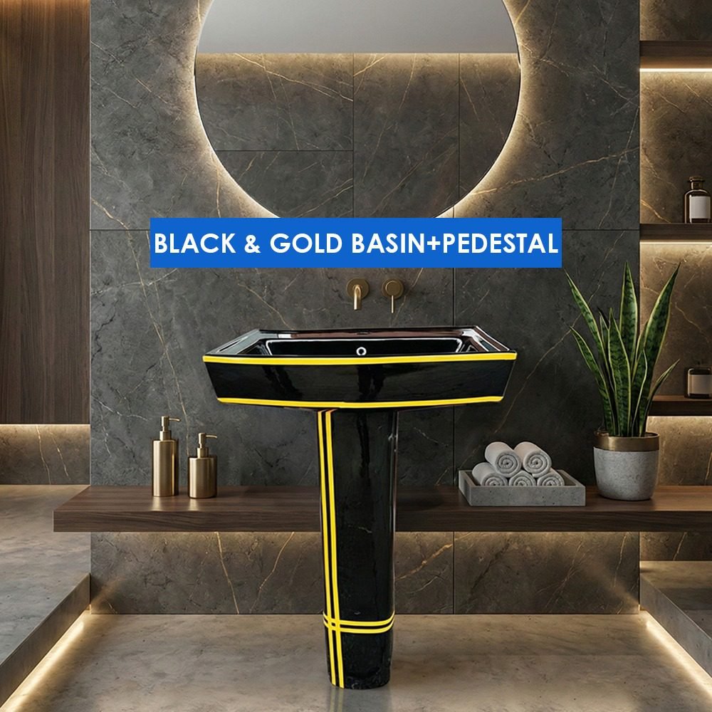WhatsApp Image 2026-01-22 at 8.20.07 PM Black & Gold Basin with Pedestal